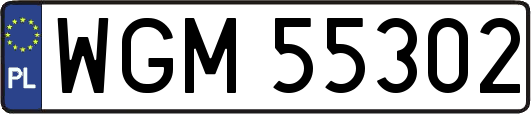 WGM55302