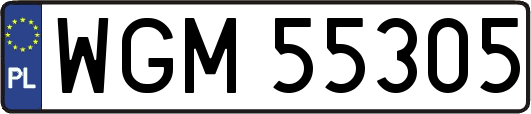 WGM55305
