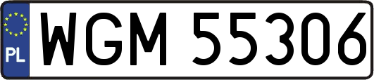 WGM55306