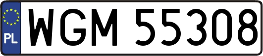 WGM55308