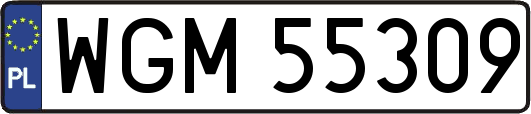 WGM55309