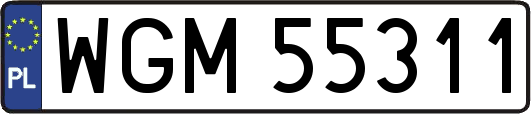 WGM55311