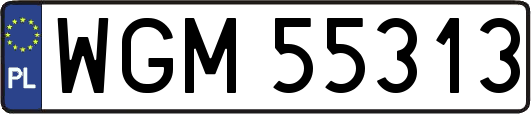WGM55313