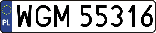 WGM55316