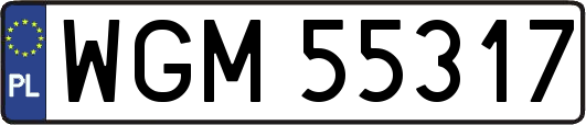 WGM55317