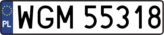 WGM55318