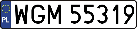 WGM55319