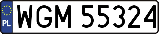 WGM55324