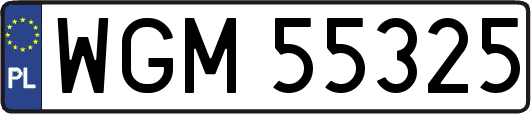 WGM55325