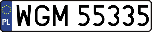WGM55335