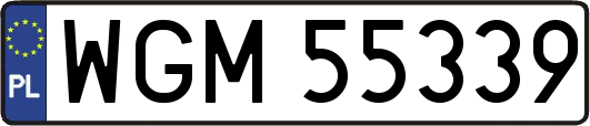 WGM55339