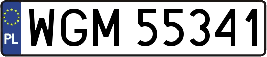 WGM55341