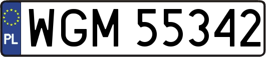 WGM55342