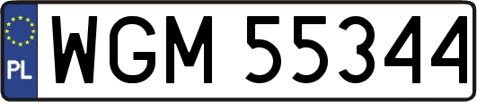 WGM55344