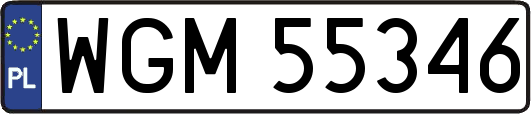 WGM55346