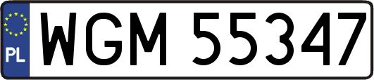 WGM55347
