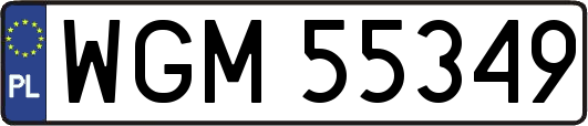 WGM55349