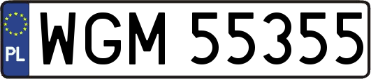 WGM55355