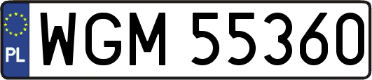 WGM55360