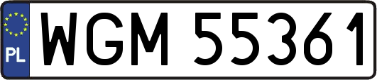 WGM55361