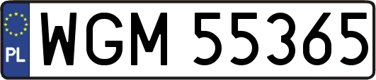 WGM55365