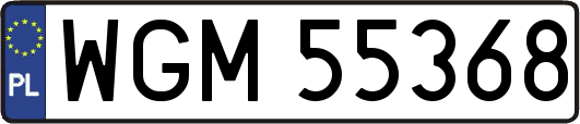 WGM55368