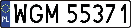 WGM55371
