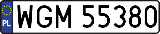 WGM55380