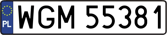 WGM55381
