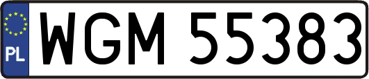 WGM55383