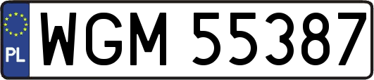 WGM55387
