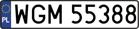 WGM55388