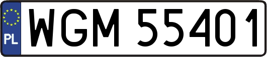 WGM55401
