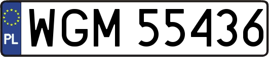WGM55436