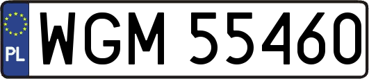WGM55460