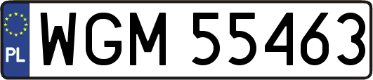 WGM55463