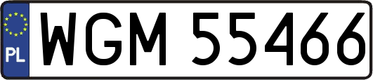 WGM55466