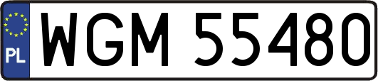 WGM55480