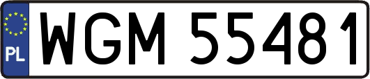 WGM55481