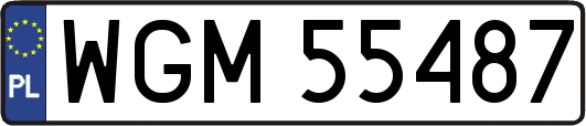 WGM55487
