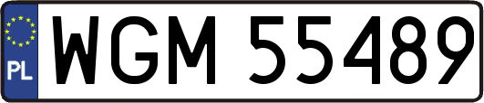 WGM55489