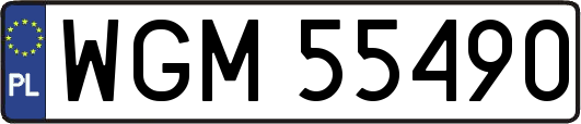 WGM55490