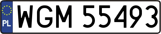 WGM55493