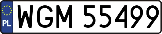 WGM55499