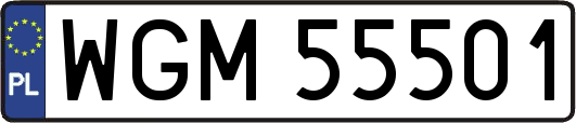 WGM55501