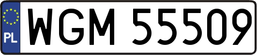 WGM55509
