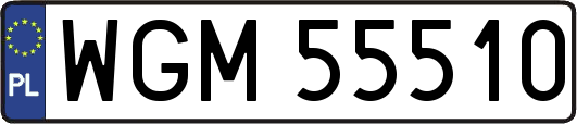 WGM55510