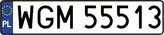 WGM55513