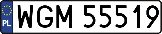 WGM55519