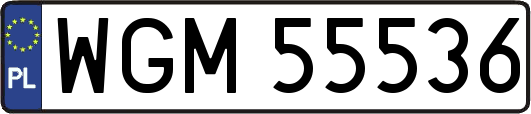 WGM55536
